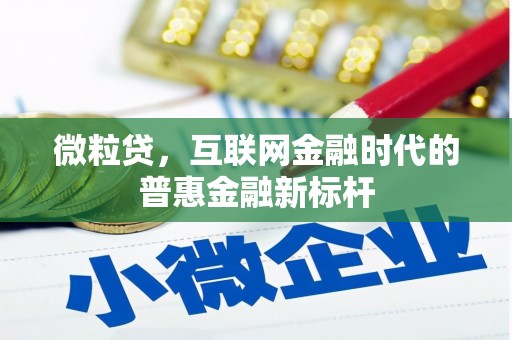 镇巴微粒贷，互联网金融时代的普惠金融新标杆