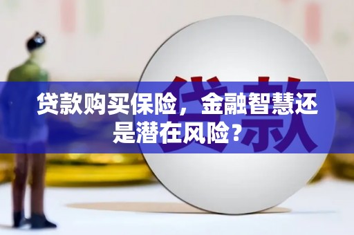 镇巴贷款购买保险，金融智慧还是潜在风险？