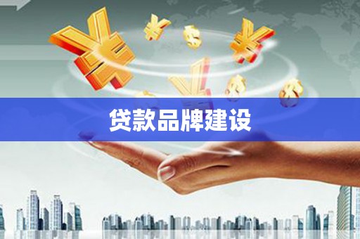 镇巴贷款品牌建设