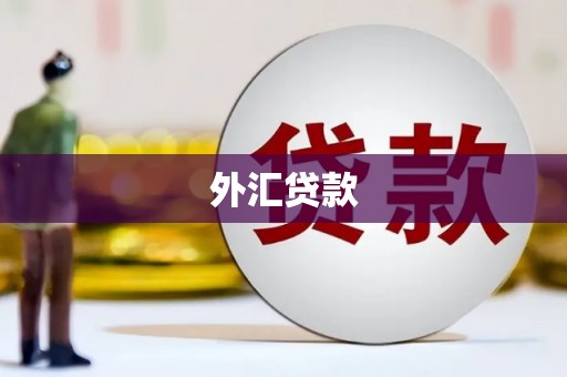 镇巴外汇贷款