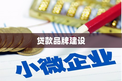 镇巴贷款品牌建设