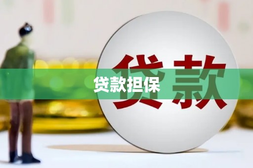 镇巴贷款担保