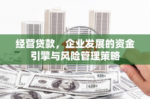 镇巴经营贷款，企业发展的资金引擎与风险管理策略