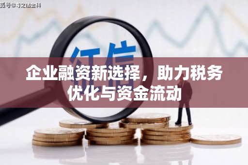 镇巴企业融资新选择，助力税务优化与资金流动