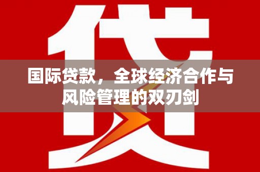 镇巴国际贷款，全球经济合作与风险管理的双刃剑