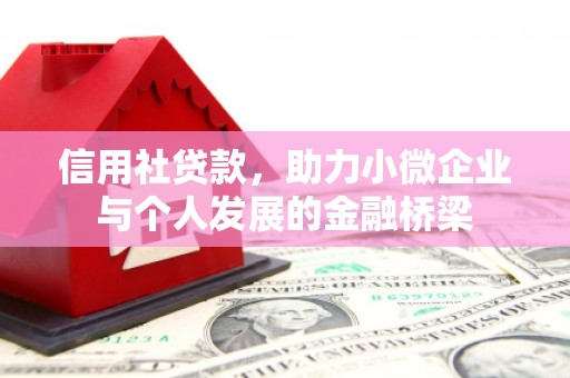 镇巴信用社贷款，助力小微企业与个人发展的金融桥梁