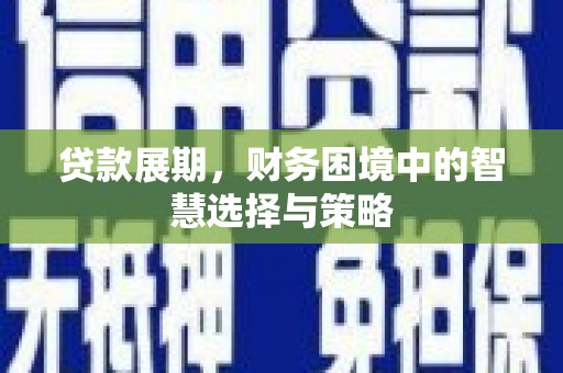 镇巴贷款展期，财务困境中的智慧选择与策略