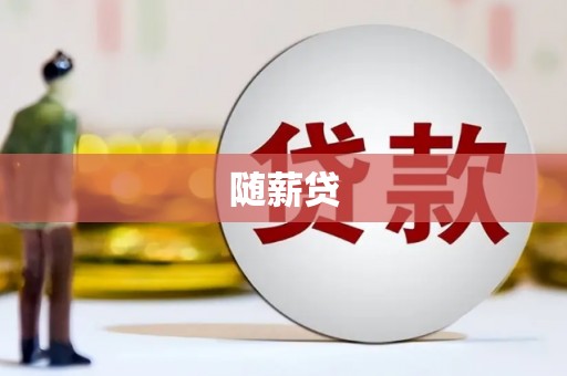镇巴随薪贷