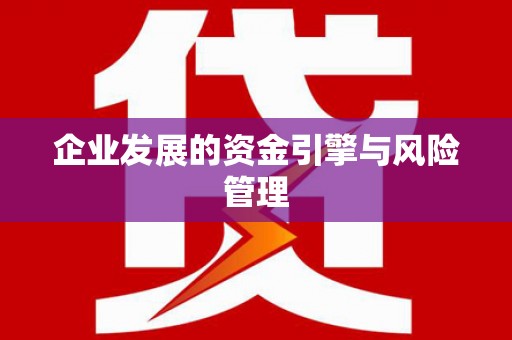 镇巴企业发展的资金引擎与风险管理
