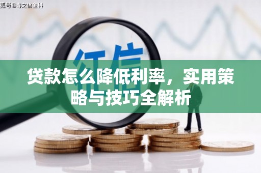 镇巴贷款怎么降低利率，实用策略与技巧全解析