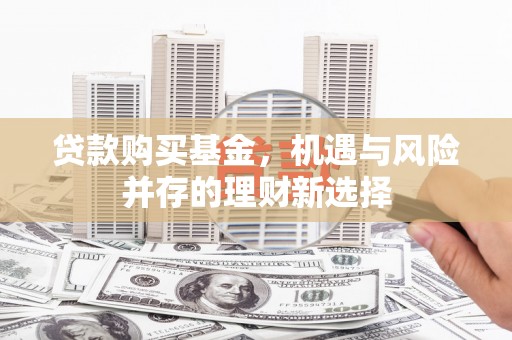 镇巴贷款购买基金，机遇与风险并存的理财新选择