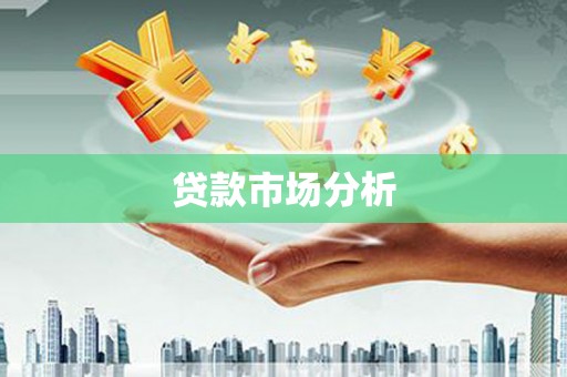 镇巴贷款市场分析