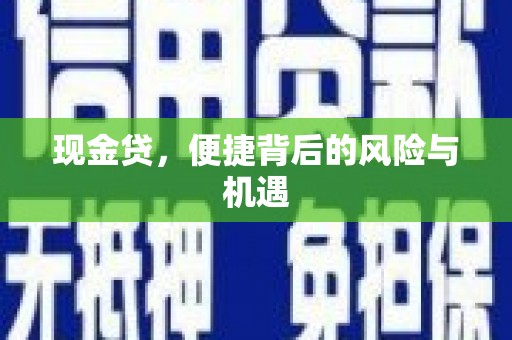 镇巴现金贷，便捷背后的风险与机遇