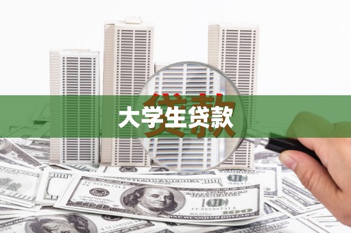 镇巴大学生贷款