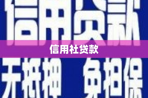 镇巴信用社贷款