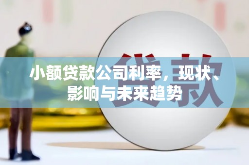镇巴小额贷款公司利率，现状、影响与未来趋势