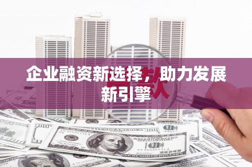 镇巴企业融资新选择，助力发展新引擎