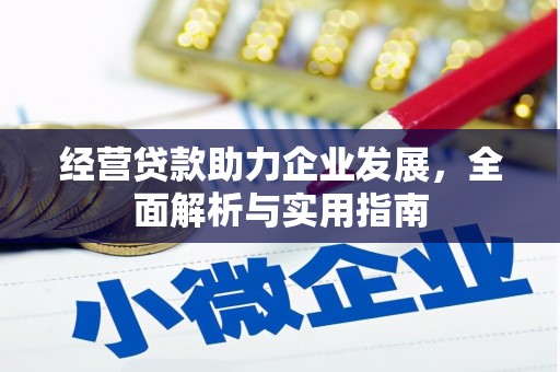 镇巴经营贷款助力企业发展，全面解析与实用指南