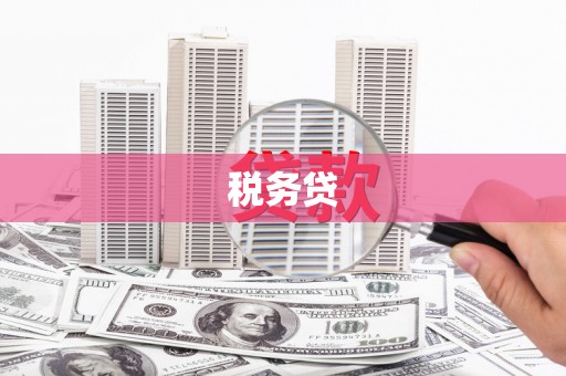 镇巴税务贷