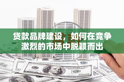 镇巴贷款品牌建设，如何在竞争激烈的市场中脱颖而出