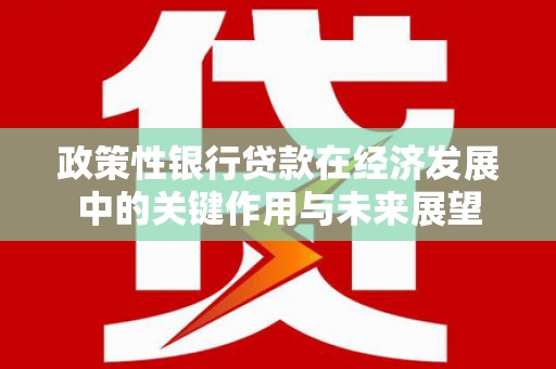 镇巴政策性银行贷款在经济发展中的关键作用与未来展望