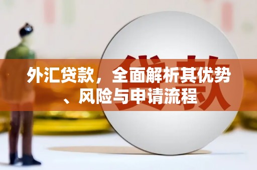镇巴外汇贷款，全面解析其优势、风险与申请流程