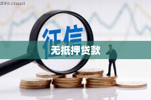 镇巴无抵押贷款