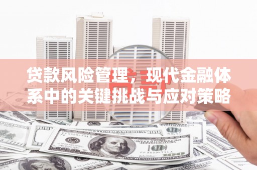 镇巴贷款风险管理，现代金融体系中的关键挑战与应对策略