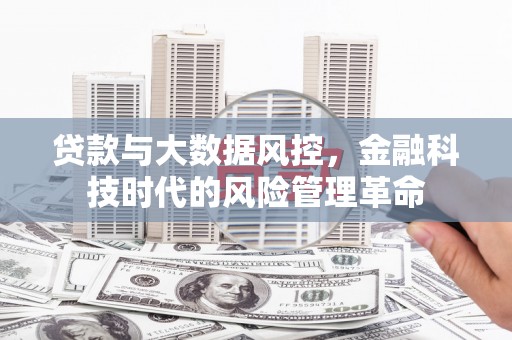 镇巴贷款与大数据风控，金融科技时代的风险管理革命
