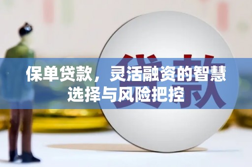镇巴保单贷款，灵活融资的智慧选择与风险把控