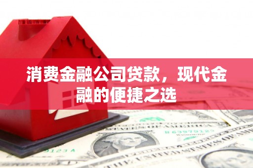 镇巴消费金融公司贷款，现代金融的便捷之选