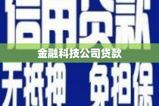 镇巴金融科技公司贷款