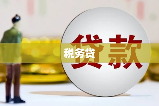 镇巴税务贷