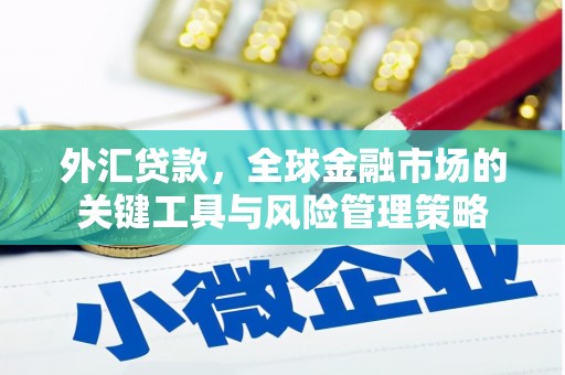 镇巴外汇贷款，全球金融市场的关键工具与风险管理策略