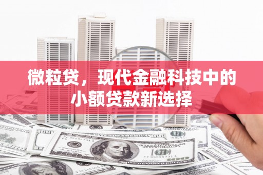 镇巴微粒贷，现代金融科技中的小额贷款新选择