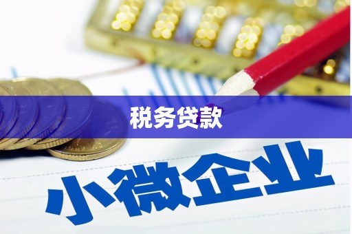 镇巴税务贷款