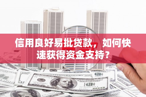 镇巴信用良好易批贷款，如何快速获得资金支持？