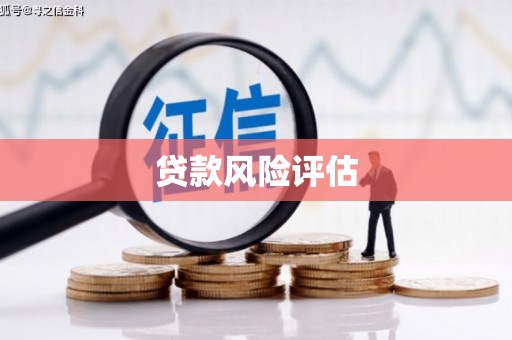 镇巴贷款风险评估