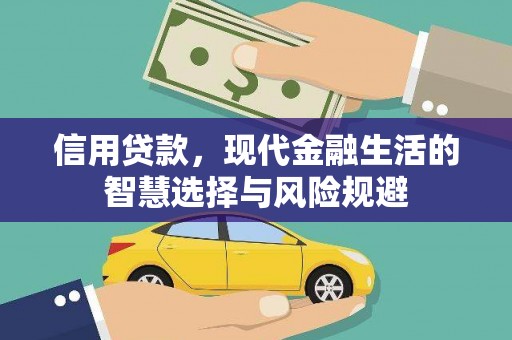 镇巴信用贷款，现代金融生活的智慧选择与风险规避