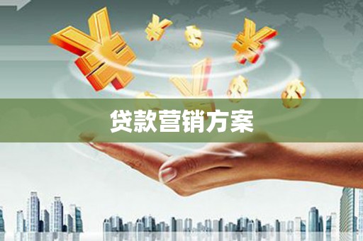 镇巴贷款营销方案