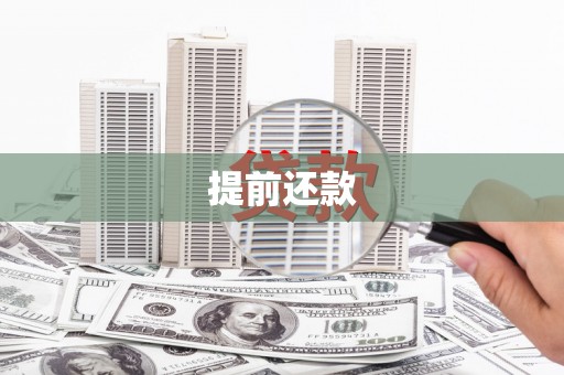 镇巴提前还款