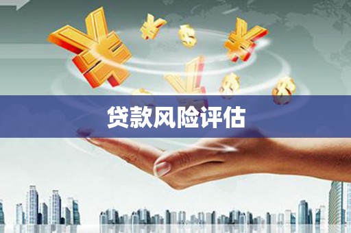 镇巴贷款风险评估