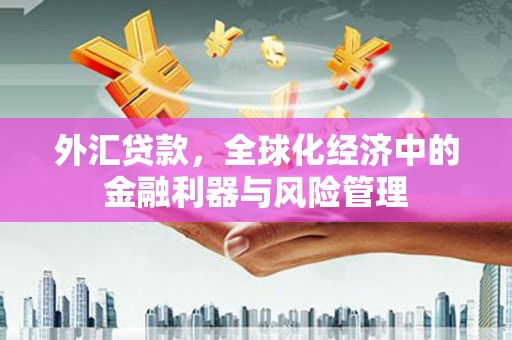 镇巴外汇贷款，全球化经济中的金融利器与风险管理