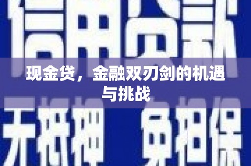 镇巴现金贷，金融双刃剑的机遇与挑战