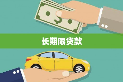 镇巴长期限贷款