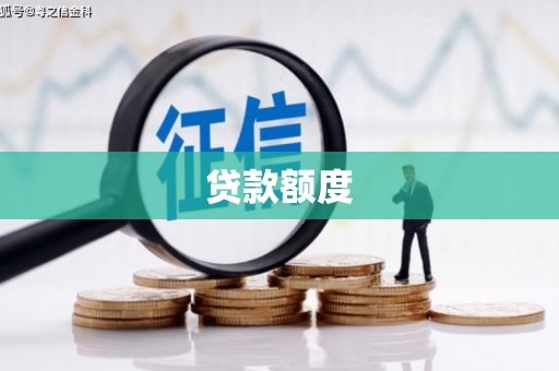 镇巴贷款额度