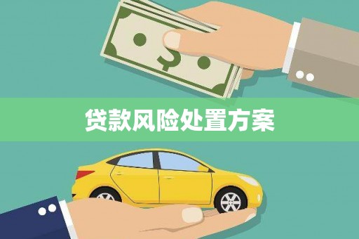 镇巴贷款风险处置方案