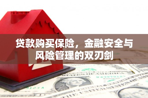 镇巴贷款购买保险，金融安全与风险管理的双刃剑