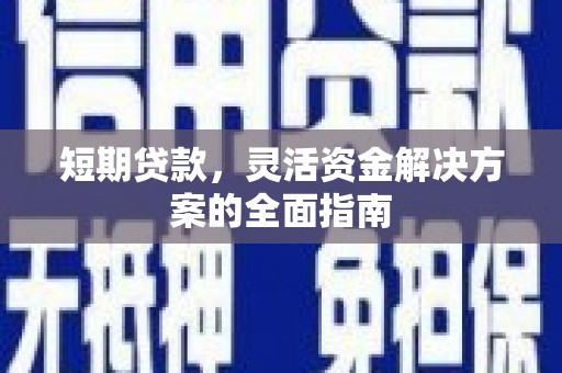 镇巴短期贷款，灵活资金解决方案的全面指南