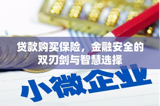 镇巴贷款购买保险，金融安全的双刃剑与智慧选择